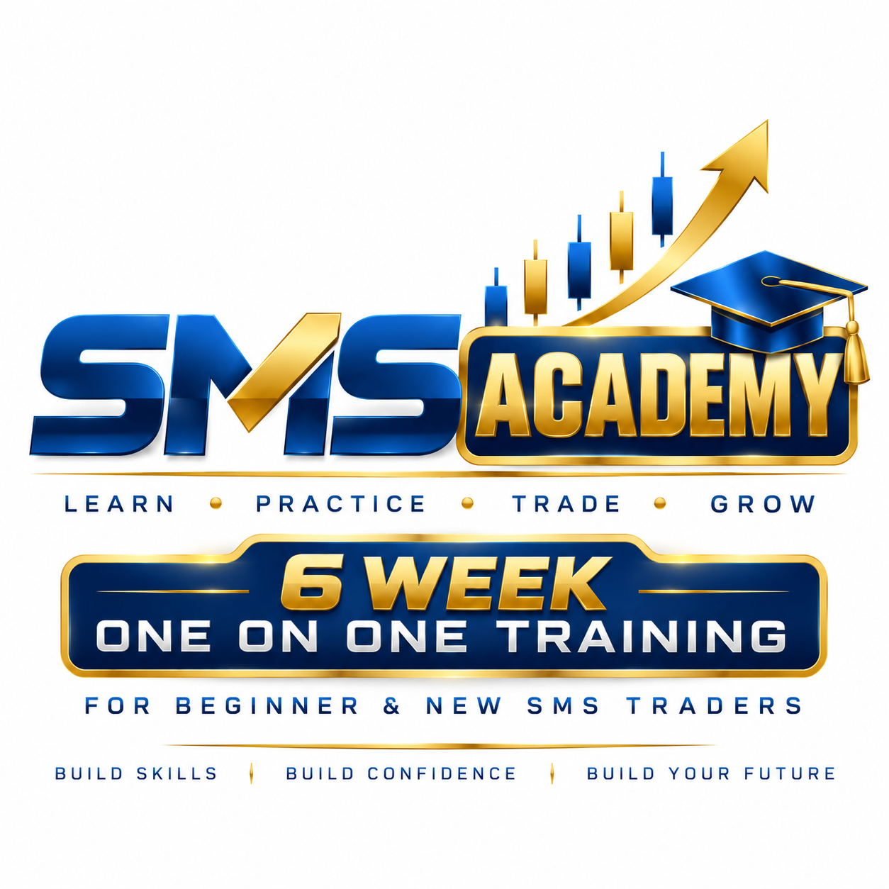 SMS Academy — 6 week one-on-one training for beginner and new SMS traders